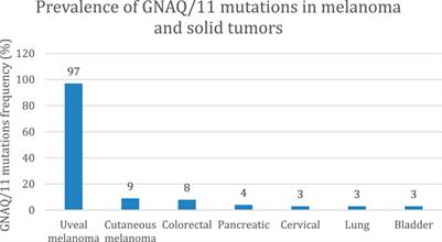 Darovasertib, a novel treatment for metastatic uveal melanoma